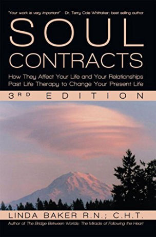 Soul Contracts Book